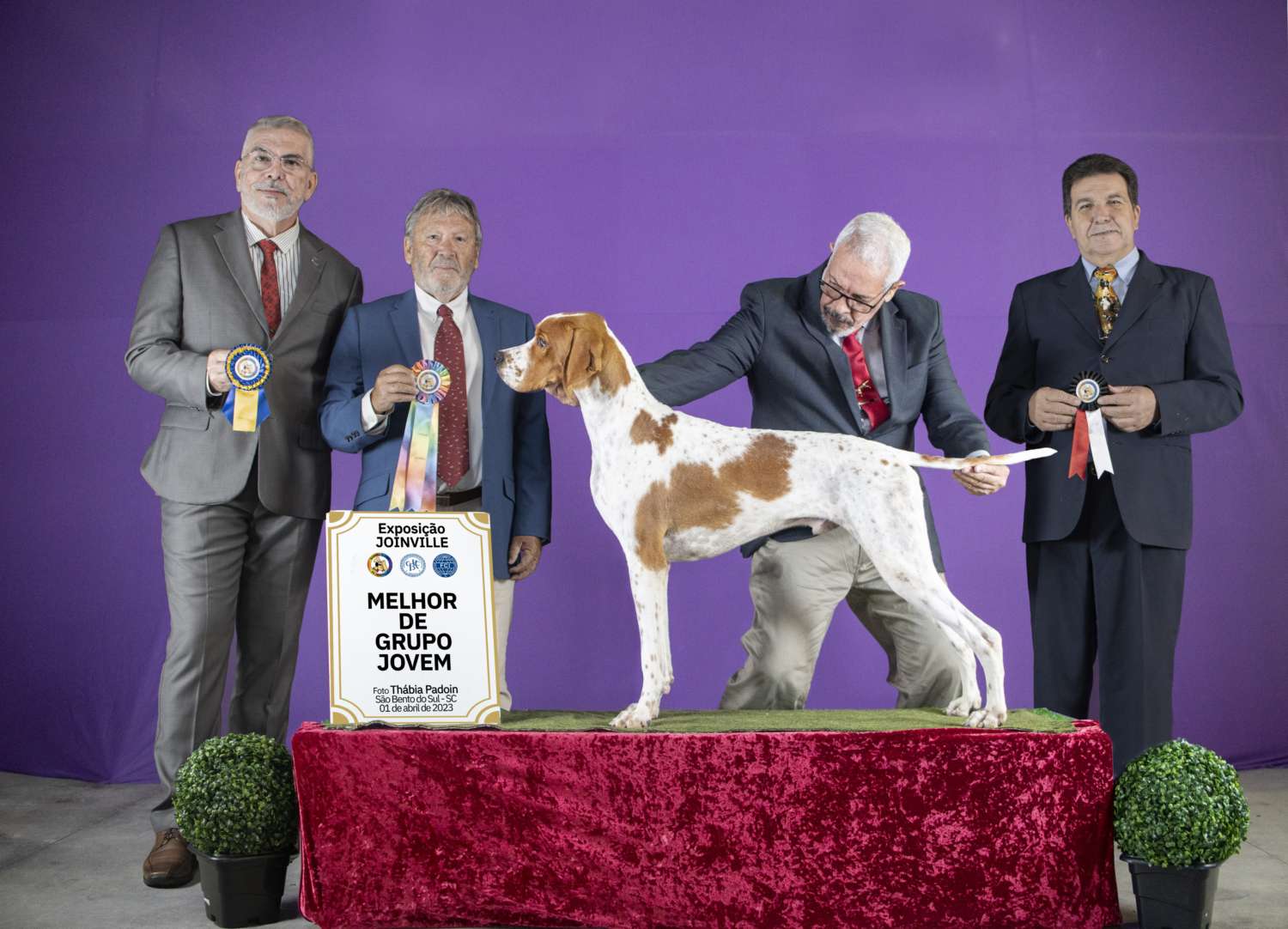 Plantel com campeões nacionais e internacionais, linhagens selecionadas de Pointer Inglês e Pintchers...