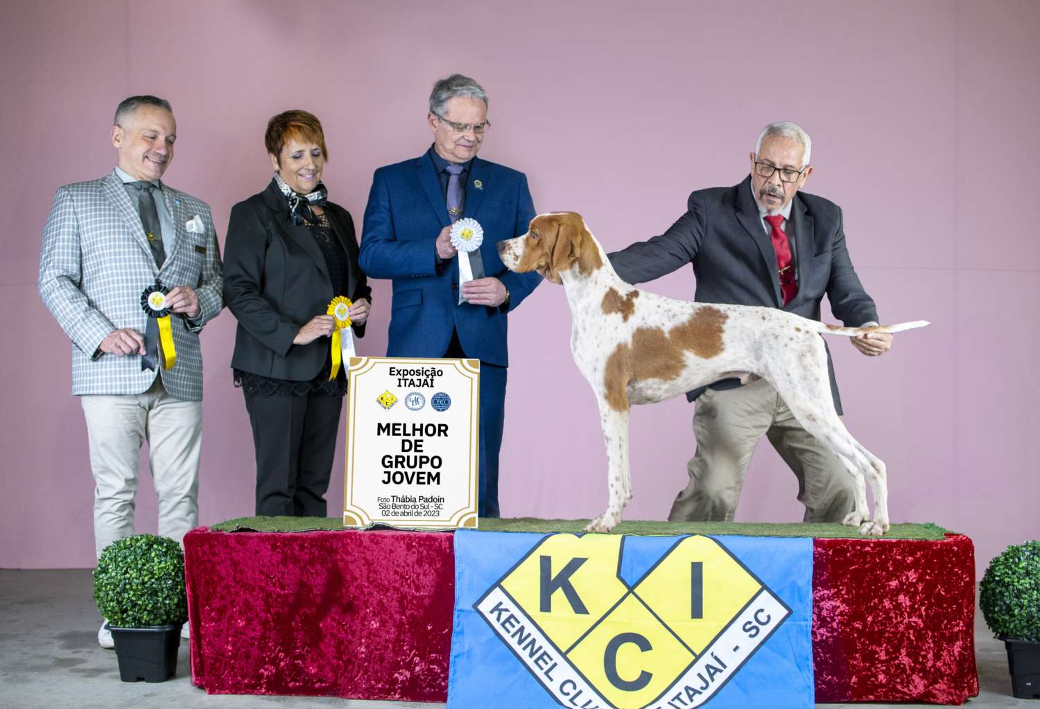 Plantel com campeões nacionais e internacionais, linhagens selecionadas de Pointer Inglês e Pintchers...