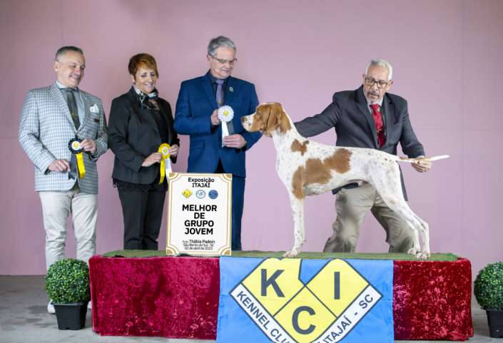 Plantel com campeões nacionais e internacionais, linhagens selecionadas de Pointer Inglês e Pintchers...