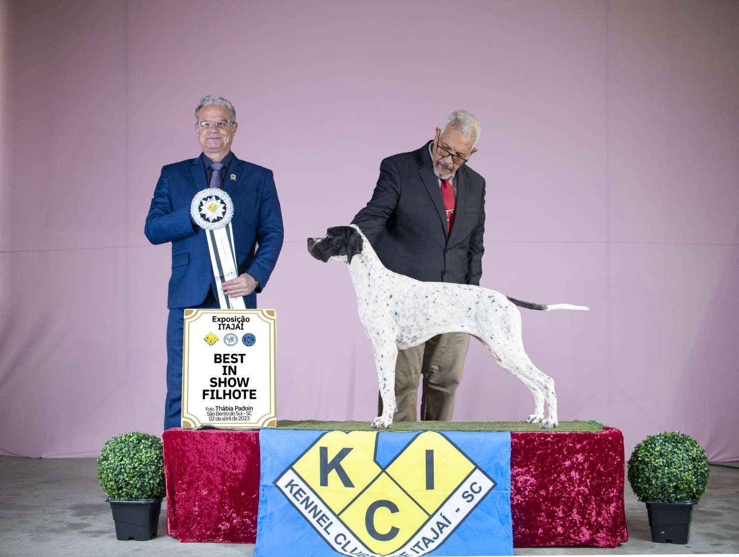 Plantel com campeões nacionais e internacionais, linhagens selecionadas de Pointer Inglês e Pintchers...