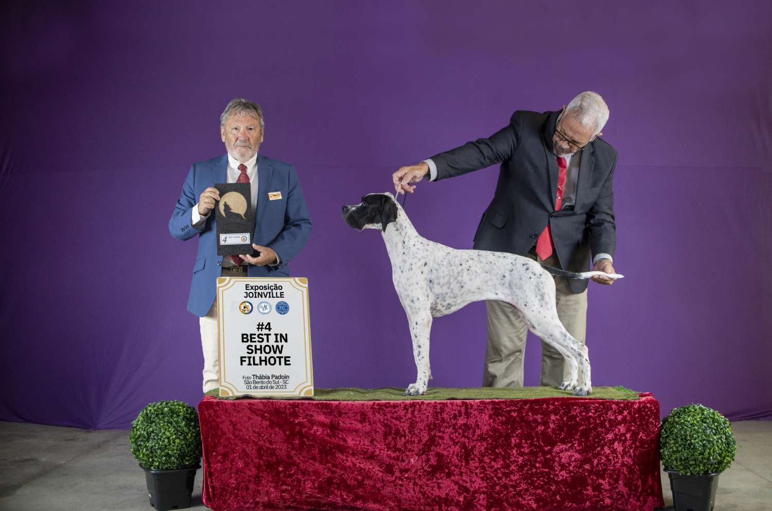 Plantel com campeões nacionais e internacionais, linhagens selecionadas de Pointer Inglês e Pintchers...