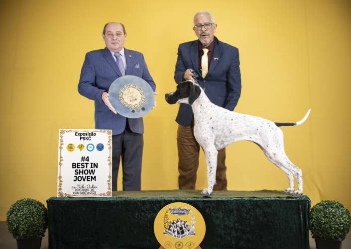 Plantel com campeões nacionais e internacionais, linhagens selecionadas de Pointer Inglês e Pintchers...