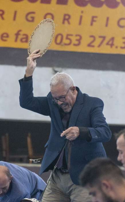 Filhotes de Pointer Ingles