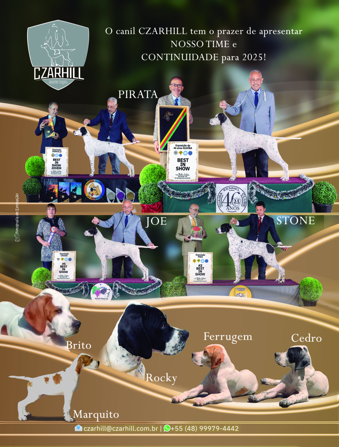 Plantel com campeões nacionais e internacionais, linhagens selecionadas de Pointer Inglês e Pintchers...