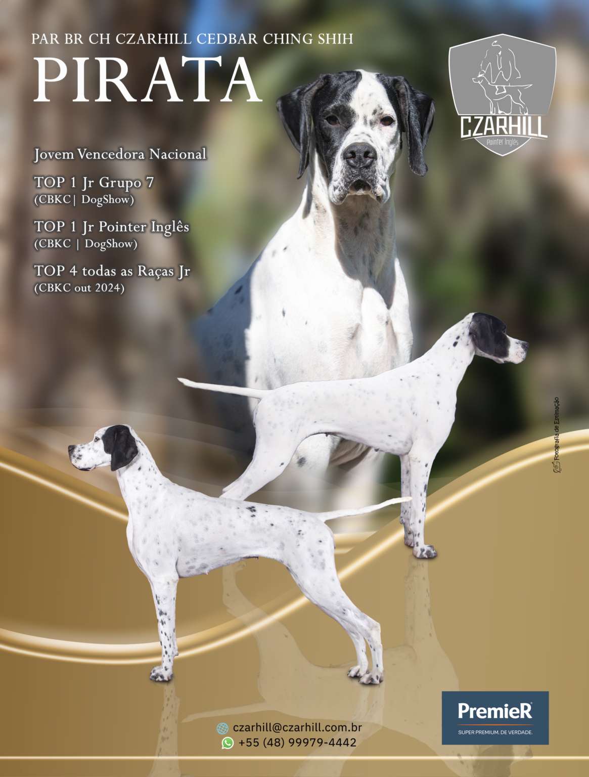Plantel com campeões nacionais e internacionais, linhagens selecionadas de Pointer Inglês e Pintchers...