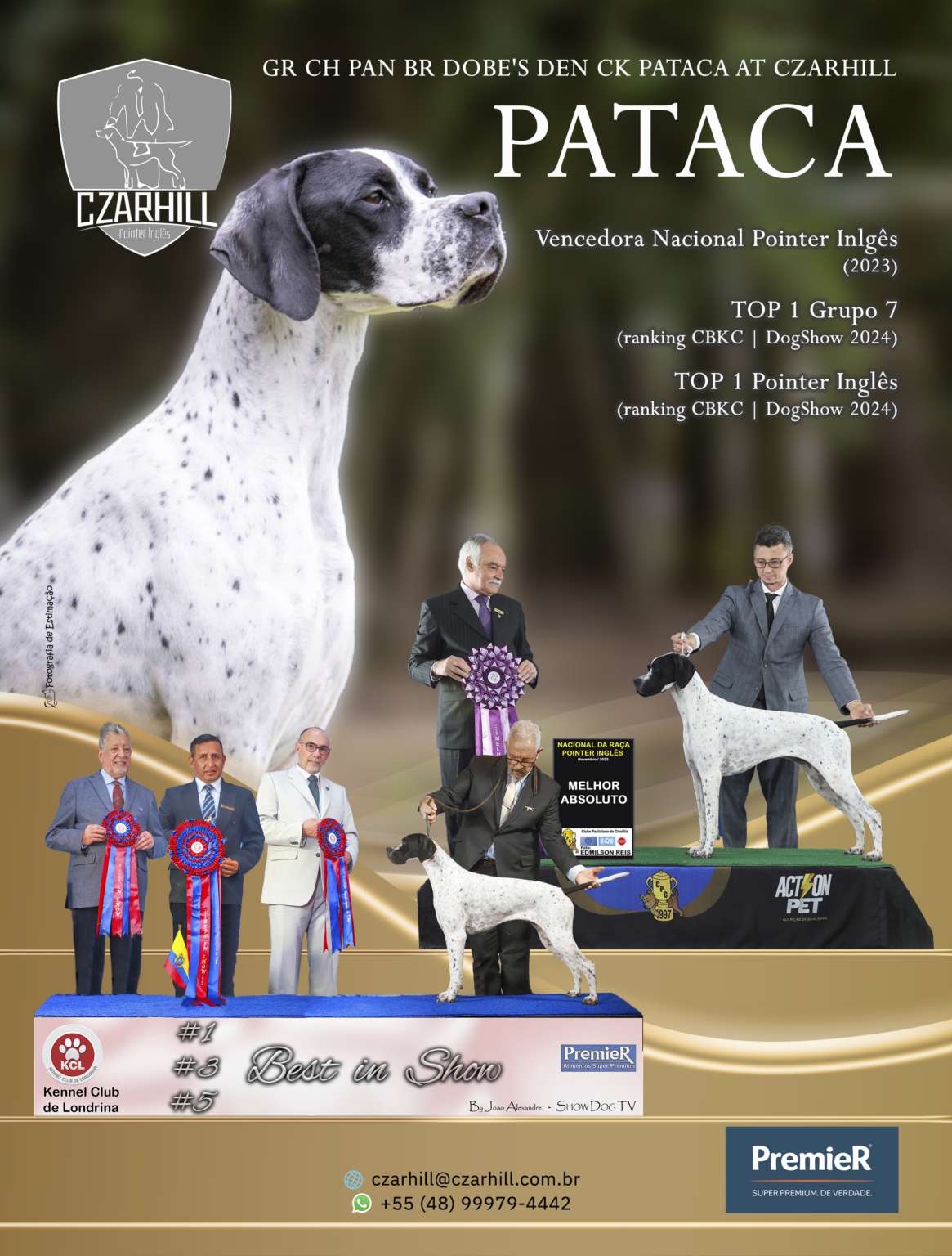 Plantel com campeões nacionais e internacionais, linhagens selecionadas de Pointer Inglês e Pintchers...