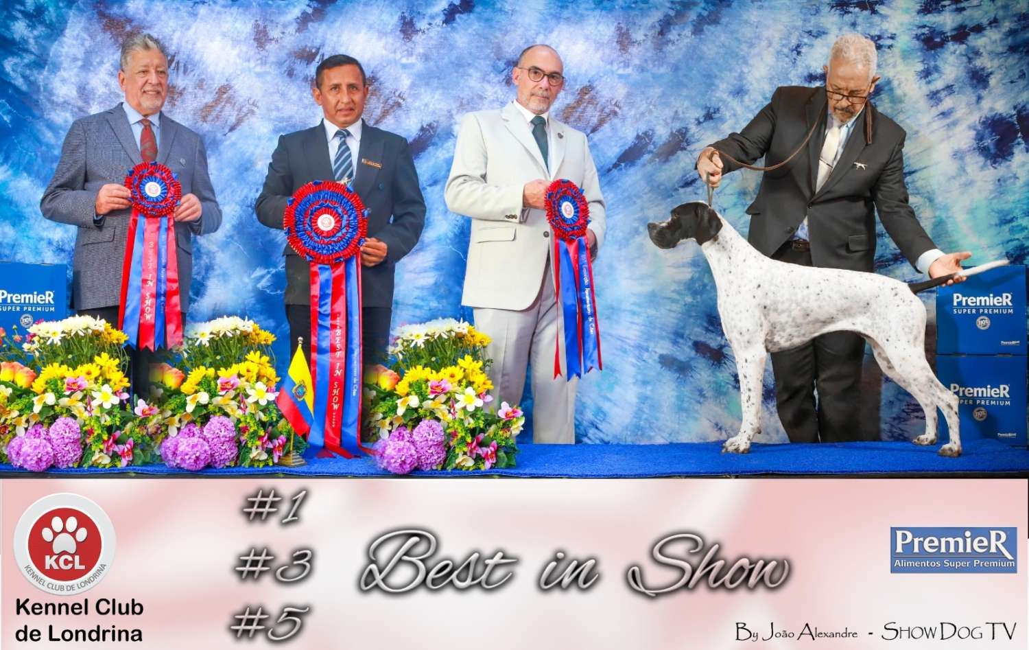 Plantel com campeões nacionais e internacionais, linhagens selecionadas de Pointer Inglês e Pintchers...